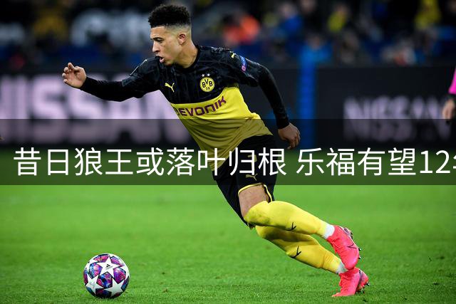 昔日狼王或落叶归根 乐福有望12年后重返森林狼