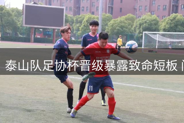 泰山队足协杯晋级暴露致命短板 门将神勇难掩全队低迷