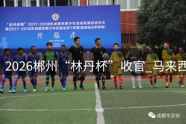 2026郴州“林丹杯”收官 马来西亚选手詹俊为男单夺冠